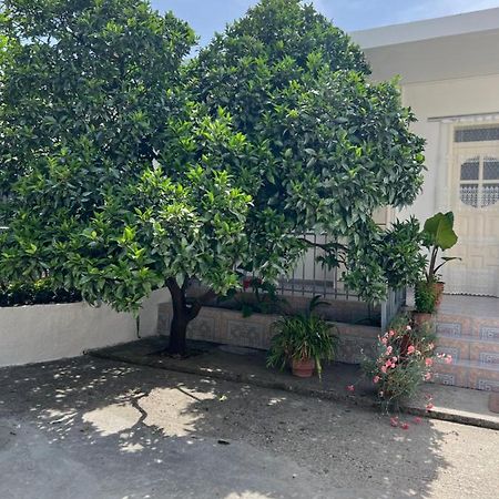 Rooms For Rent Habipi Vlorë Eksteriør bilde