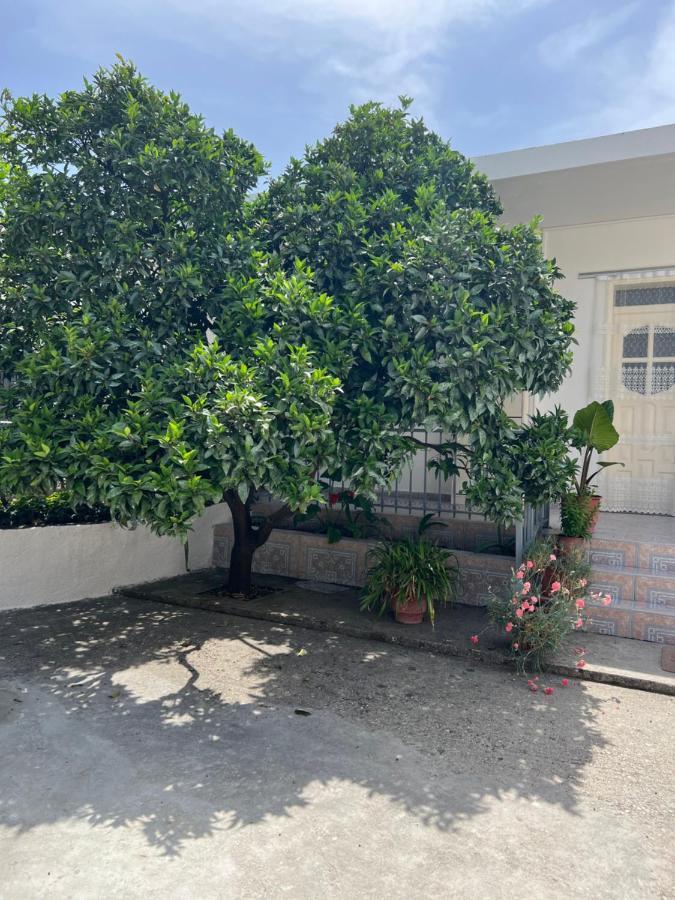 Rooms For Rent Habipi Vlorë Eksteriør bilde
